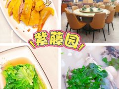 -紫藤园·天目湖大鱼头(南山竹海店)