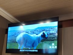 -蝎王府羊蝎子(虎坊桥总店)