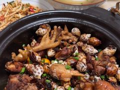 -天鹅到家·保姆月嫂育儿嫂(龙华店)