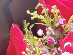 -花匠花艺鲜花店(尹山湖店)