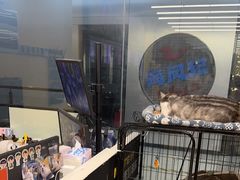 -谜盒子奇幻密室(南屏店)