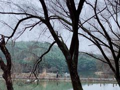 -杭州野生动物世界