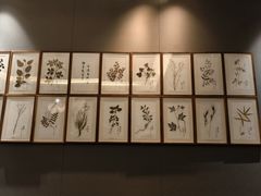 -清真·宁夏印象·盐池滩羊肉体验店(江宁路店)