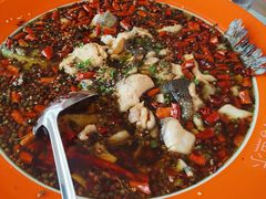 -向外鱼乐·土菜·虹鳟鱼