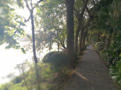 -黎记大排档(慈云路店)