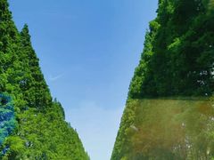 -黄海国家森林公园