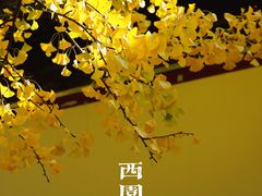 -西园戒幢律寺