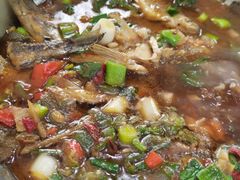 -全乐鱼馆·淳牌有机鱼直营店