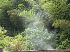 -天芳悦潭度假村温泉