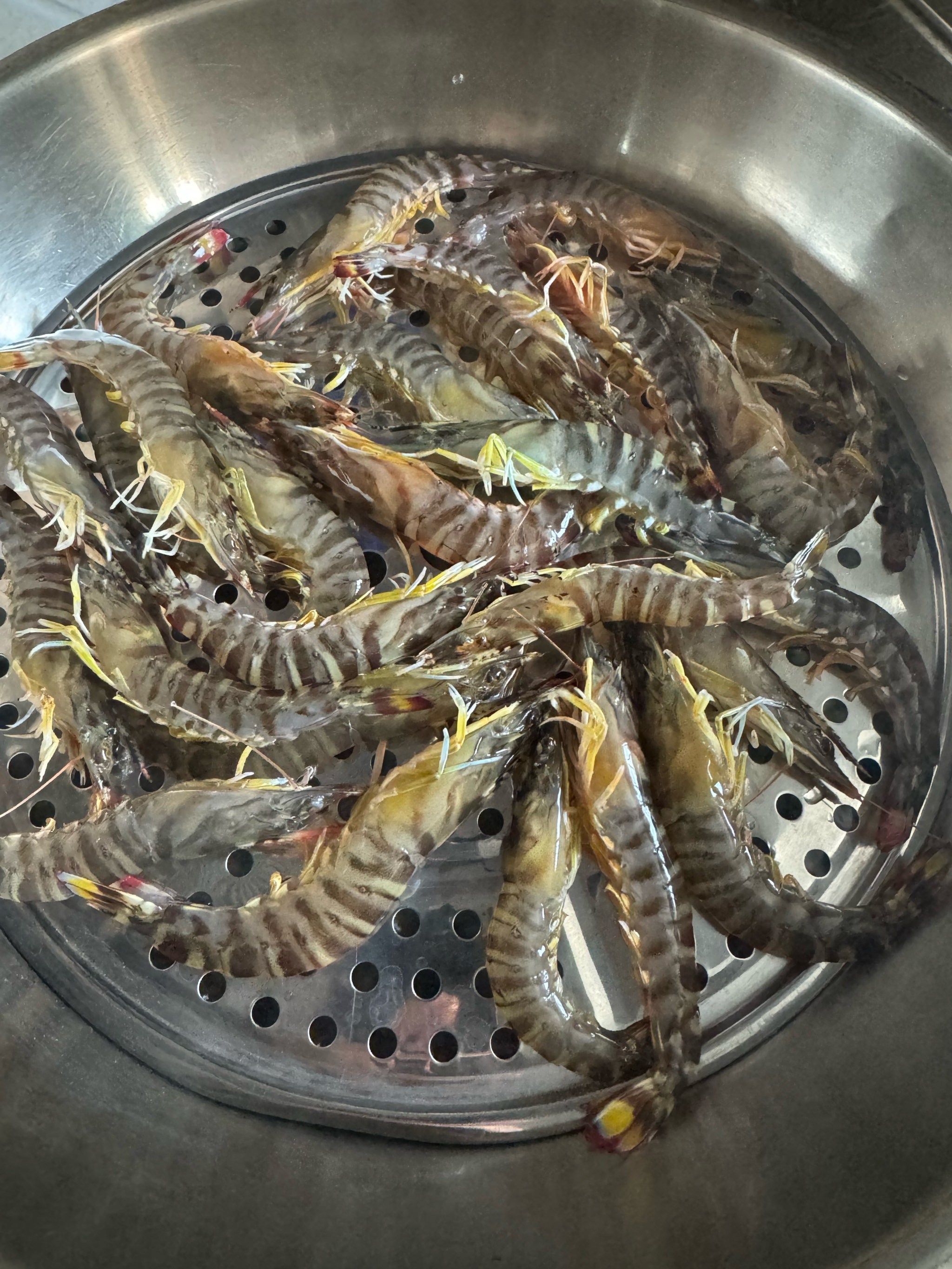 斑节虾为什么贵