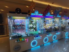 -汤姆熊欢乐世界(大连恒隆广场店)