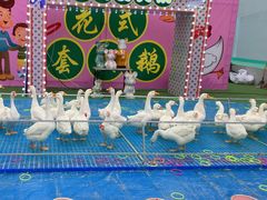 -天津方特欢乐世界