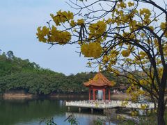 -广州莲花山旅游区