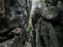 -千岛湖石林