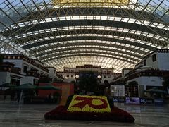 -拉萨圣地天堂洲际大饭店-自助餐厅