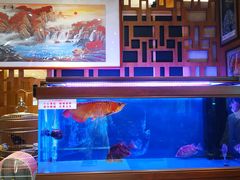 -老江南春·中国龙菜(衡山路店)