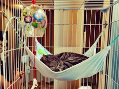 -猫的天空之城概念书店(北戴河蔚蓝海岸店)