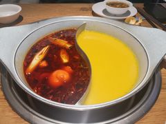 -青瓷火锅料理(西单大悦城店)