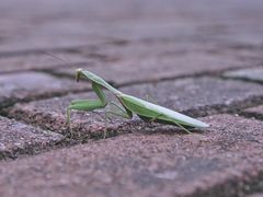 -安吉龙王山峡谷漂流