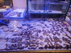 -十六蒲(桂林路店)