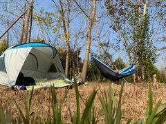 -白鹭湾湿地公园