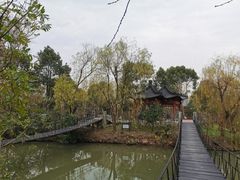 -南汇桃花村