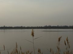-黄沙古渡原生态旅游区