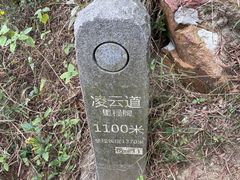 -梧桐山风景名胜区