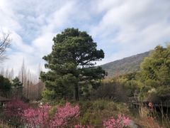 -宝岩生态观光园