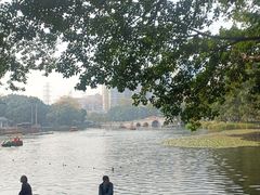 -荔湾湖公园