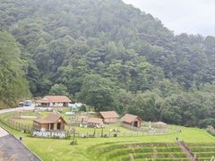 -龙岩森林水乡景区