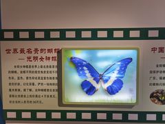 -上海昆虫博物馆