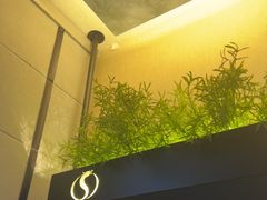 -华夏良子·足道SPA艾灸(王府井店)