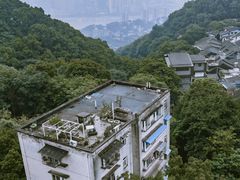 -南山植物园
