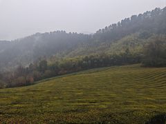 -敬亭山风景名胜区