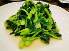 -张生记(丁香国际店)
