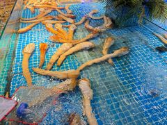 -驻海渔市(置信店)