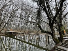 -西溪南古村落景区