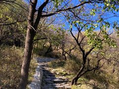-阳台山自然风景区