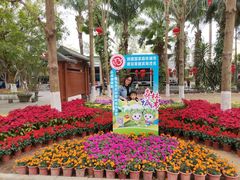 -广东茂名森林公园