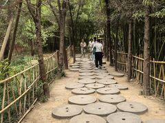 -洛阳白马寺