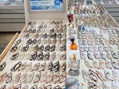 -潘多拉眼镜·蔡司依视路明月(潘家园店)