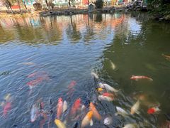 -珠海圆明新园