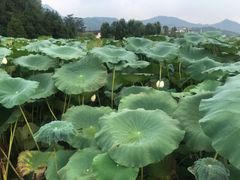 -古田会议纪念馆