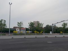 -桃花堤公园