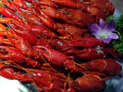 -红盔甲·小龙虾(天钥桥店)