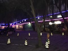 -枫花园汽车电影院(朝阳公园店)