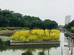 -蠡湖大桥公园