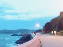 -枸杞岛