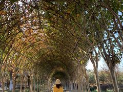 -武汉紫薇都市田园